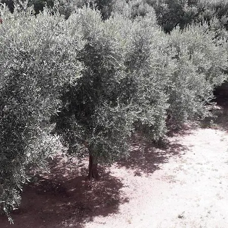 Maison Kaina Olbia